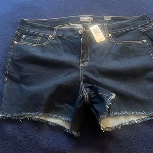 BRAND NEW TORRID JEAN SHORTS